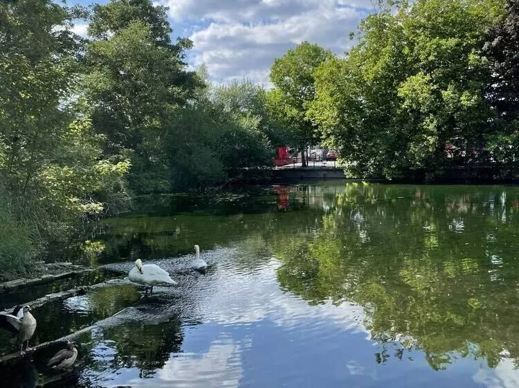 Immaculate 1 Bedroom Flat In Orpington