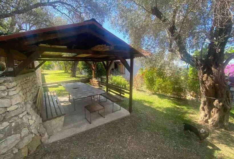 Apartman Elena