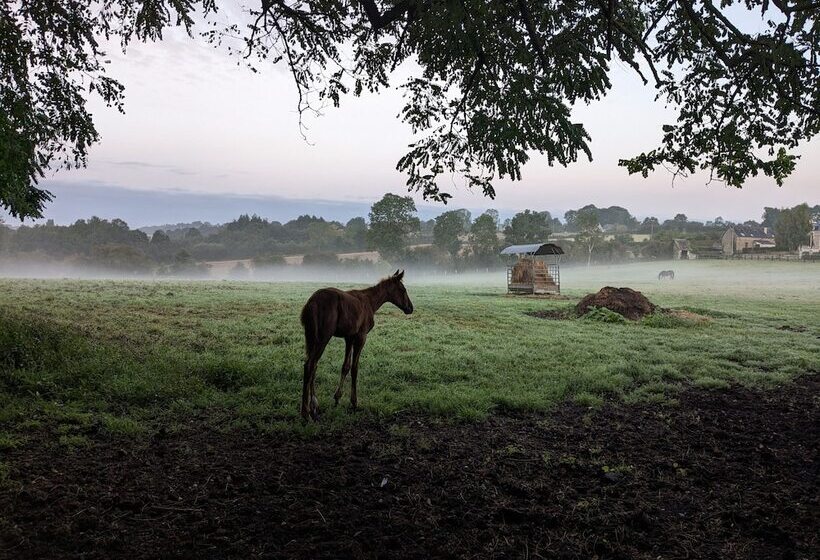 צימר Le Haras D Havetot