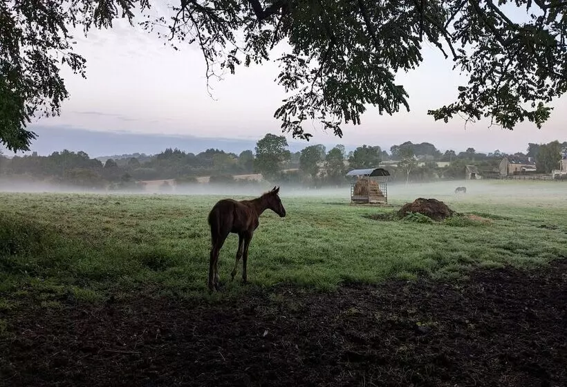 Aamiaismajoitus (B&B) Le Haras D Havetot