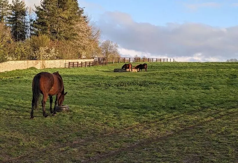 Aamiaismajoitus (B&B) Le Haras D Havetot