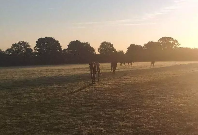 Aamiaismajoitus (B&B) Le Haras D Havetot