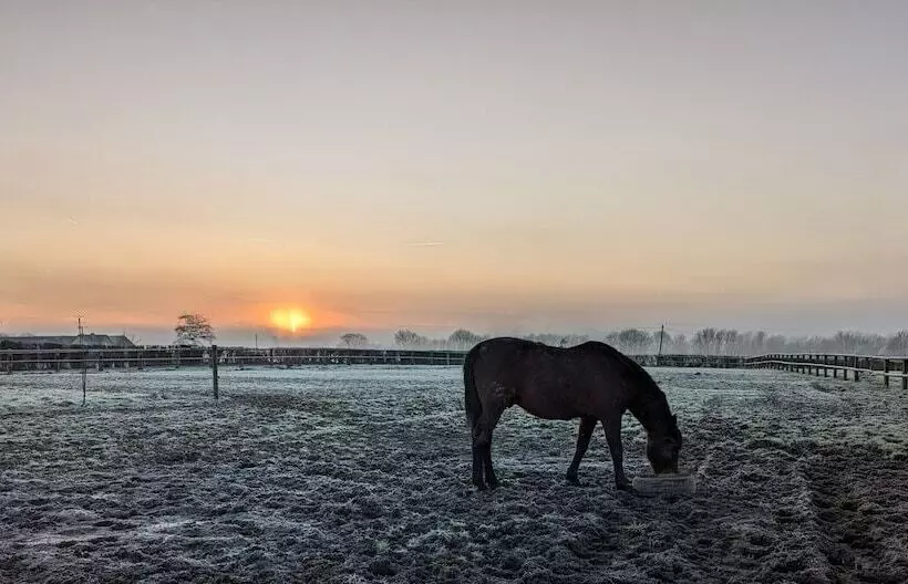 Aamiaismajoitus (B&B) Le Haras D Havetot