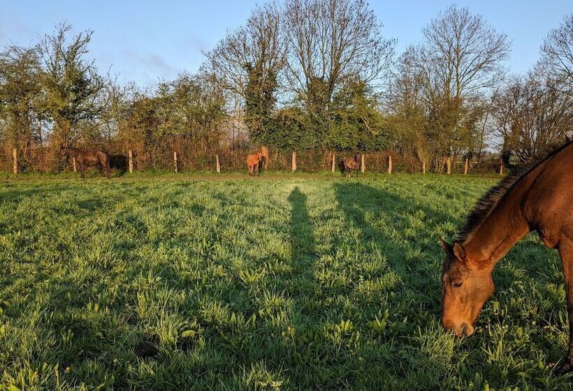 צימר Le Haras D Havetot