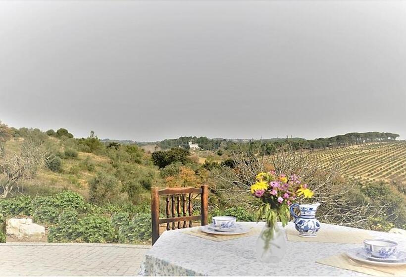 ベッドアンドブレックファースト Quinta Da Marmela