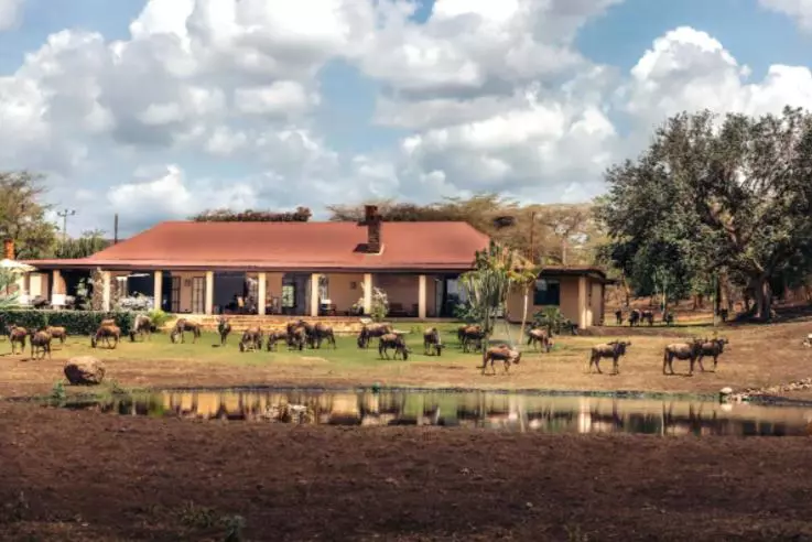 هتل Wildlife Residence