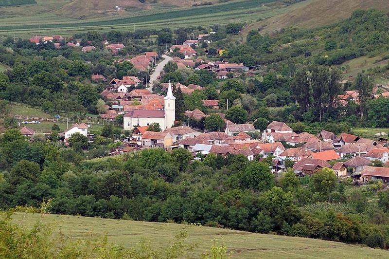 膳宿费 Casa Randunica