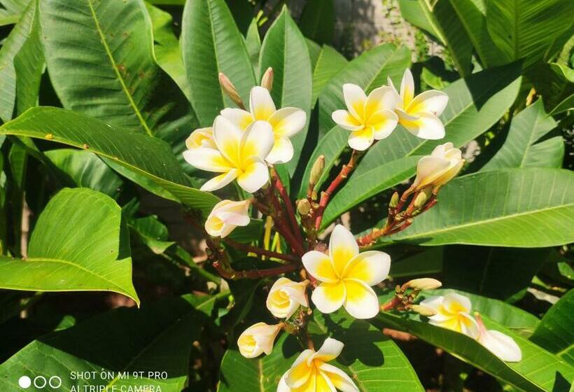 پانسیون Villa Bel Azur