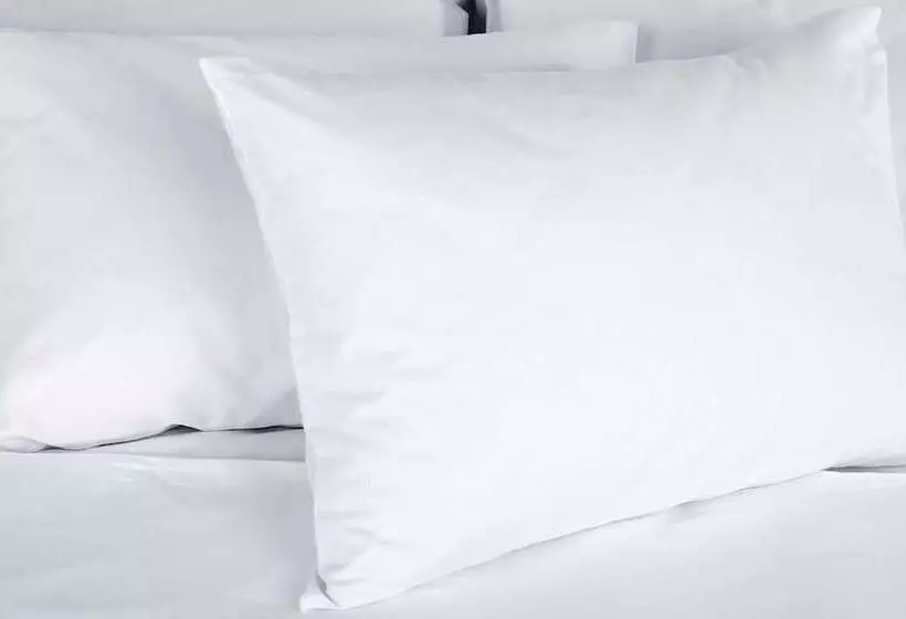 Blue Mist Motel Florence