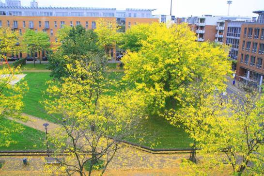 Premier Inn Essen City Limbecker Platz