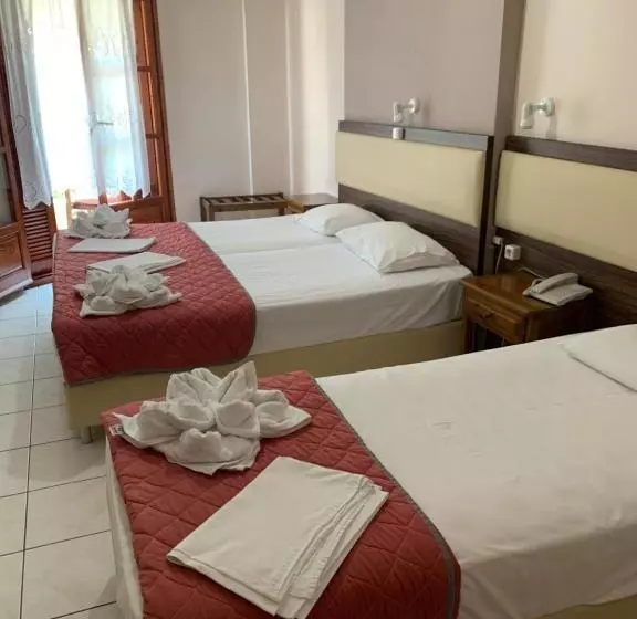 בית מלון כפרי Eleana