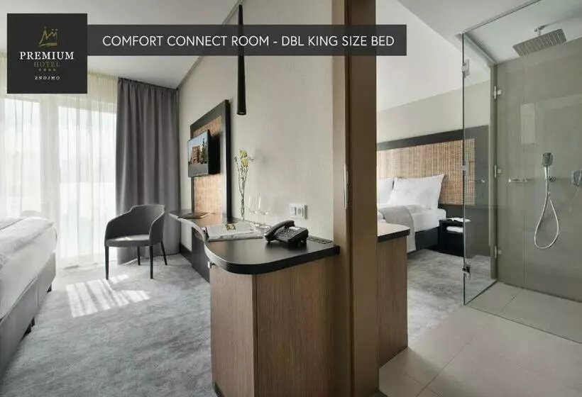 Premium Wellness & Wine Hotel Znojmo