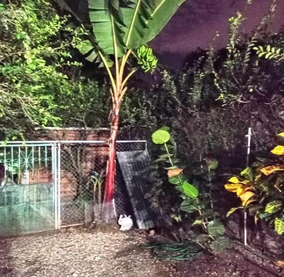 تختخواب و صبحانه Paraiso Hortensia Ecolodge