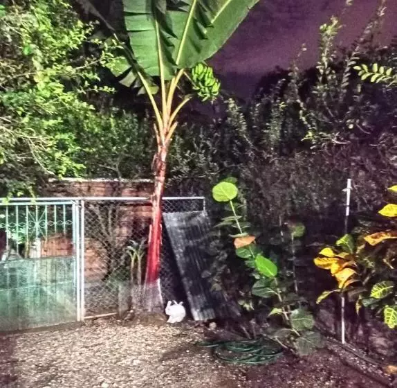 تختخواب و صبحانه Paraiso Hortensia Ecolodge