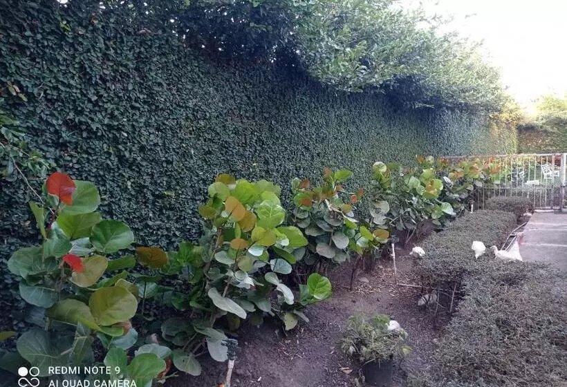 تختخواب و صبحانه Paraiso Hortensia Ecolodge