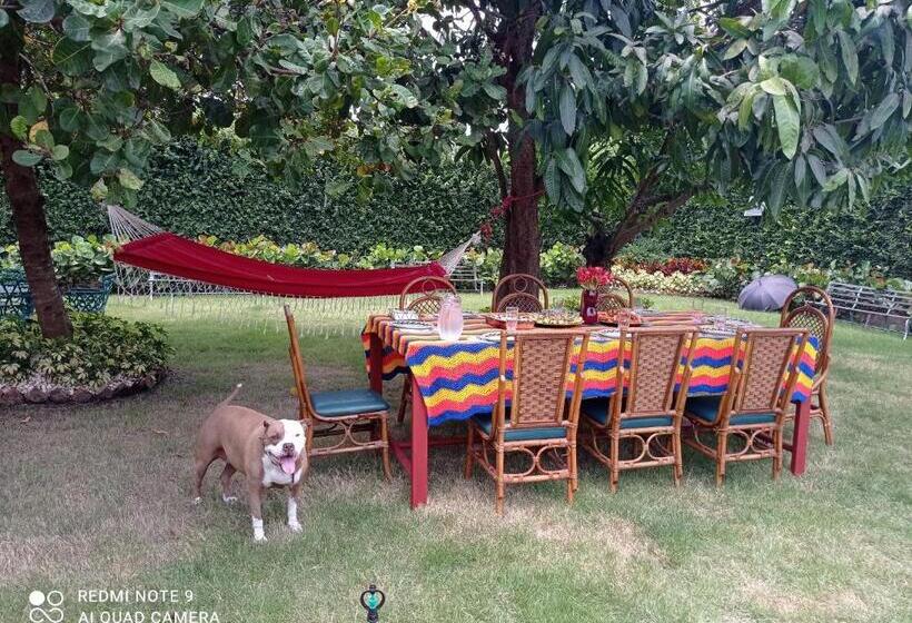 تختخواب و صبحانه Paraiso Hortensia Ecolodge