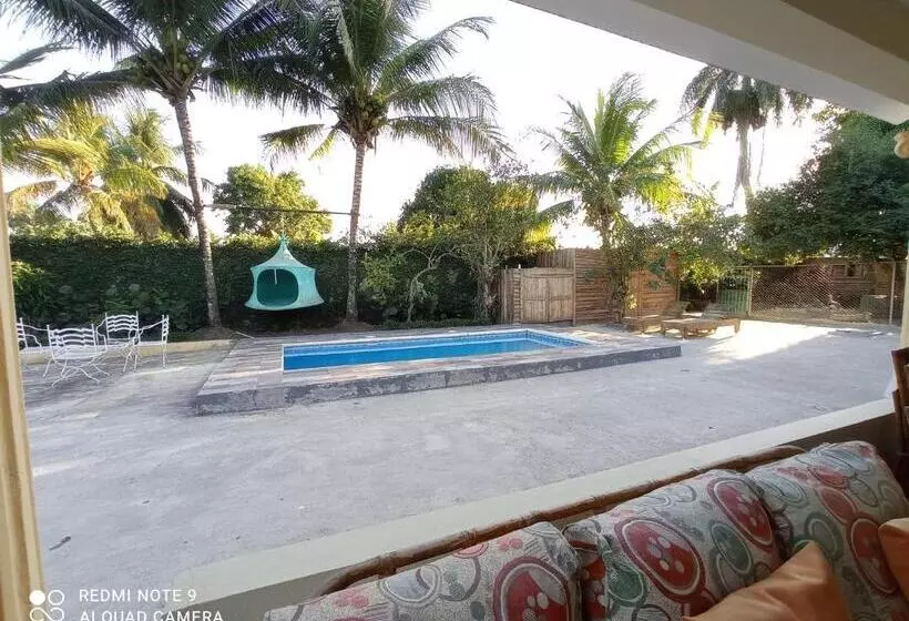 تختخواب و صبحانه Paraiso Hortensia Ecolodge