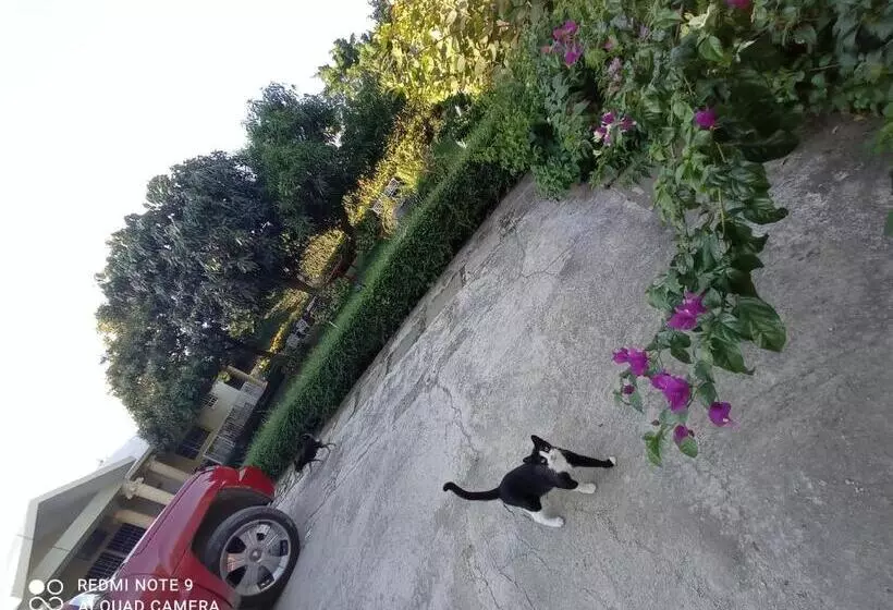 تختخواب و صبحانه Paraiso Hortensia Ecolodge