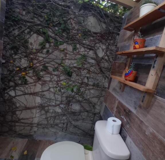 تختخواب و صبحانه Paraiso Hortensia Ecolodge