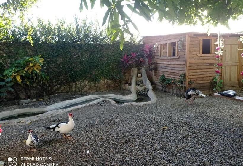 تختخواب و صبحانه Paraiso Hortensia Ecolodge