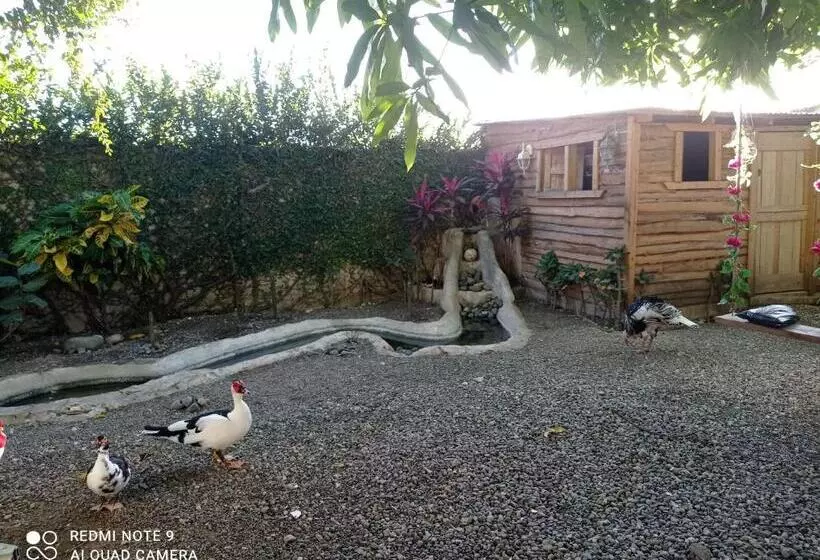 تختخواب و صبحانه Paraiso Hortensia Ecolodge