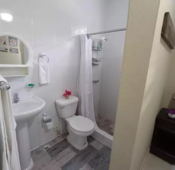 تختخواب و صبحانه Paraiso Hortensia Ecolodge