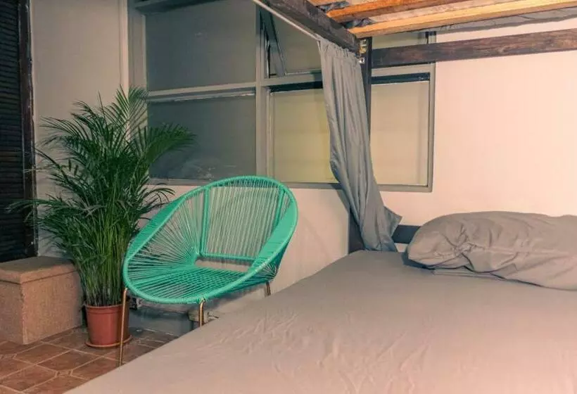 Chillout Hostel Barrio Escalante