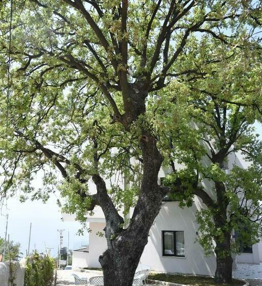 هتل Gogo S Boutique