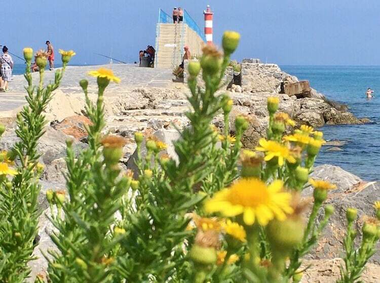 Cheriedel Bed & Breakfast & Art Gallery