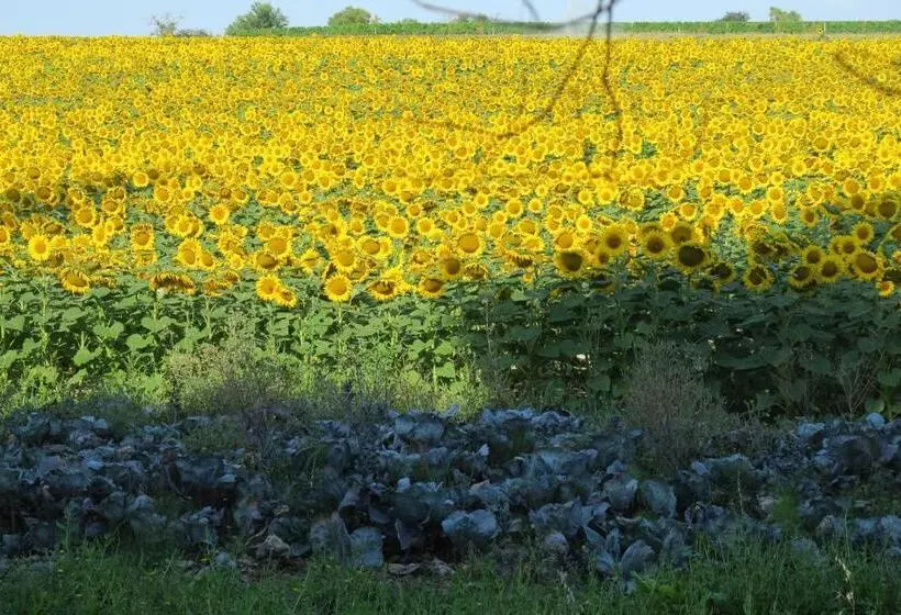 Cheriedel Bed & Breakfast & Art Gallery