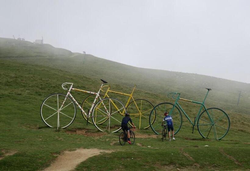 Cheriedel Bed & Breakfast & Art Gallery