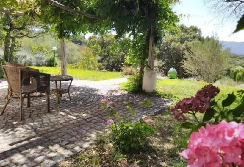 B&b Isole Di Pietra