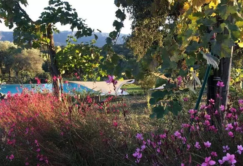 B&b Isole Di Pietra