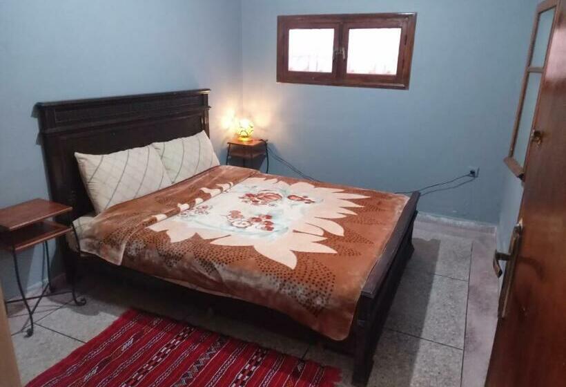 Bed and Breakfast Palmtree