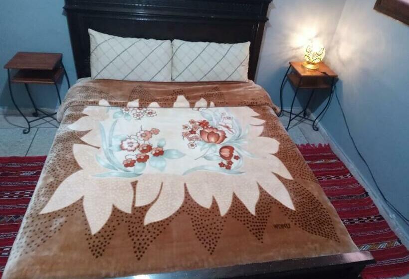 Bed and Breakfast Palmtree