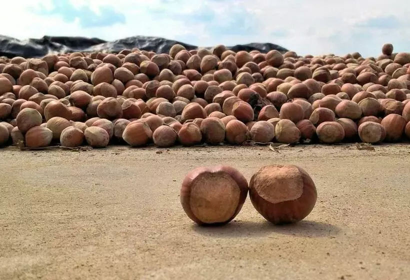 Aamiaismajoitus (B&B) Agriturismo Cantine Bevione   Rooms With Air Conditioning