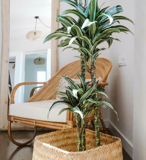 فندق صغير Dreamsea Surf House Fuerteventura