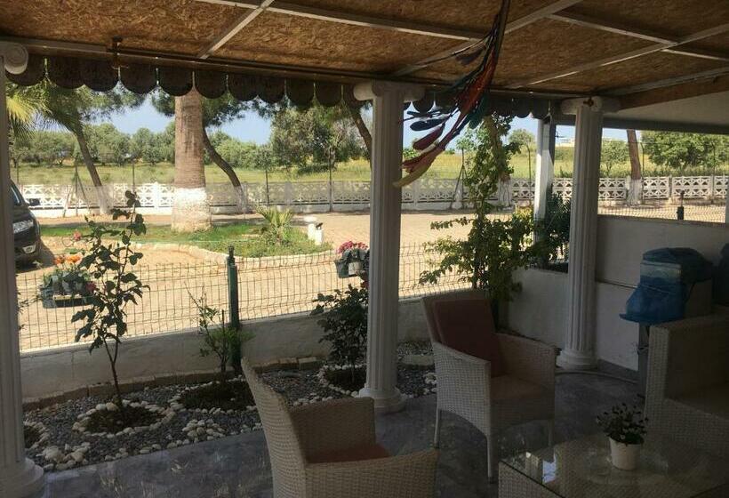 Bed and Breakfast Ken