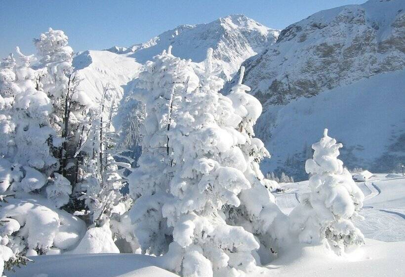 住宿加早餐  The Alpina Lodge