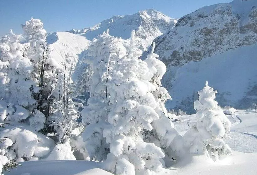 Aamiaismajoitus (B&B) The Alpina Lodge