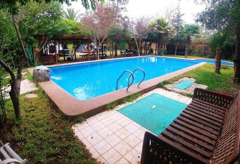 カプセルホテル Lodge Spa Melipilla