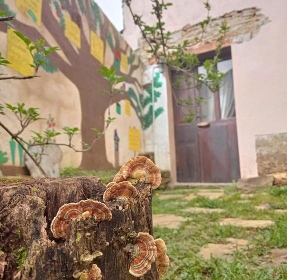 Albergue Eco El Beso   Vegano