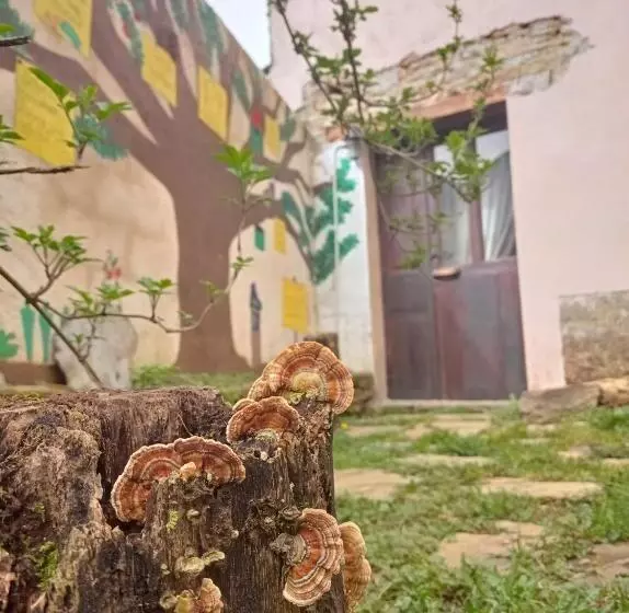 Albergue Eco El Beso   Vegano