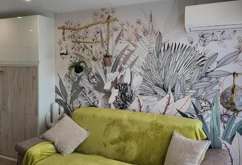 Charmant Studio Sète Cosy Refait à Neuf Parking Plage à Pied