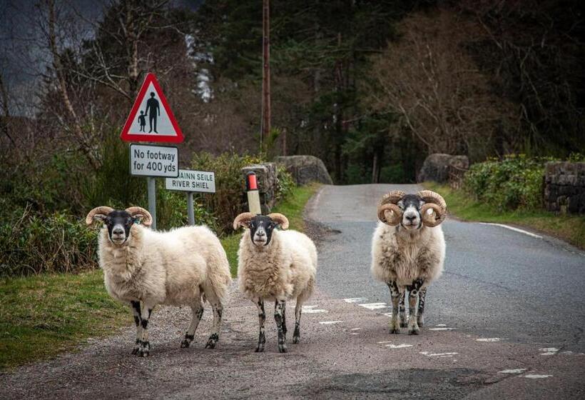 Innes House Bed & Breakfast