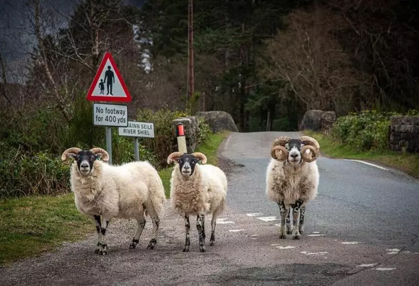 Innes House Bed & Breakfast