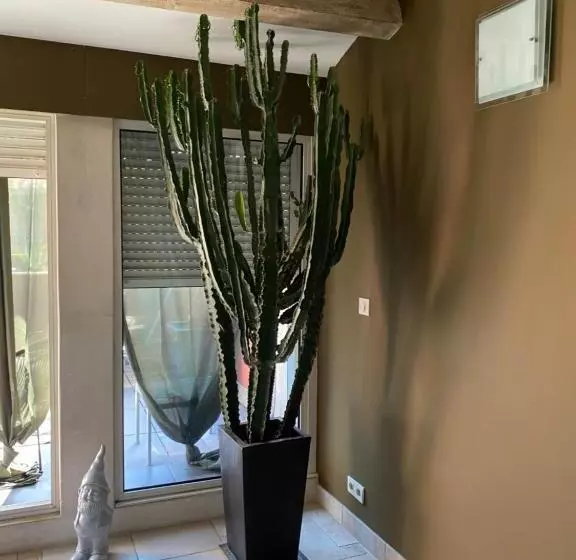 Le Loft Duplex, 2 Terrasses, Au Coeur Du Village