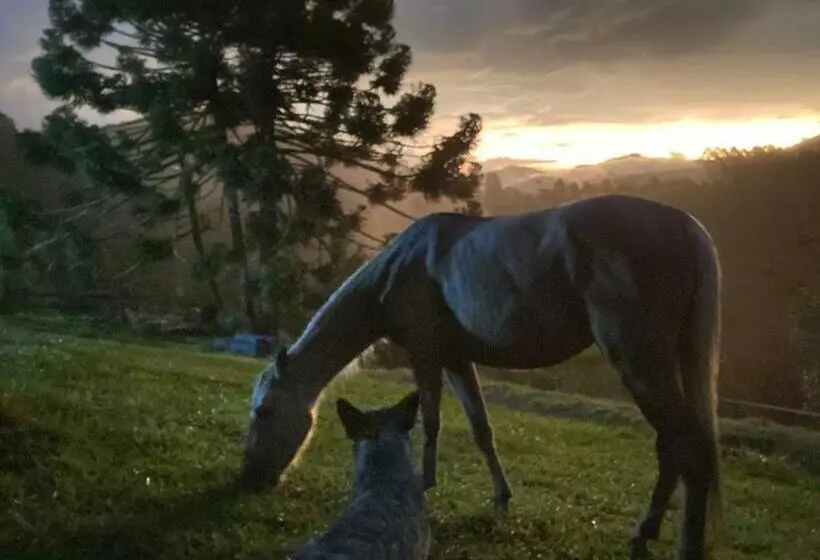 Majatalo Chalé Da Horseland Bj