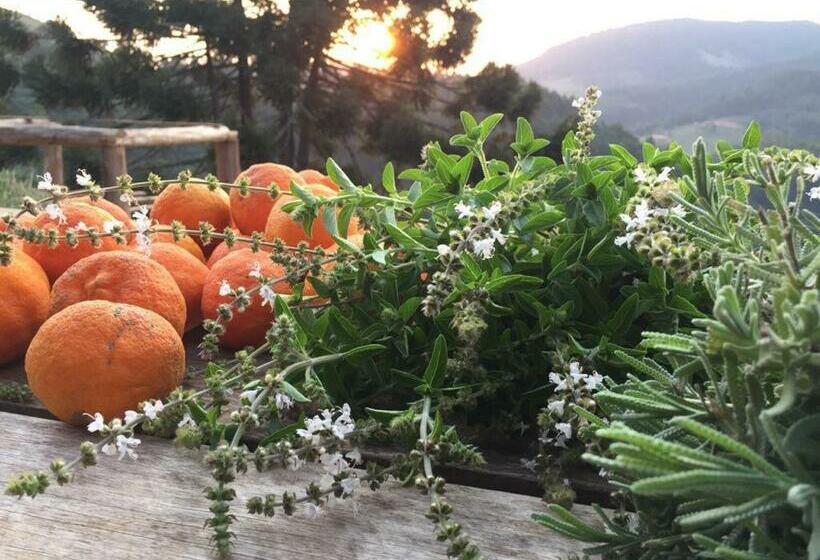 פנסיון Chalé Da Horseland Bj