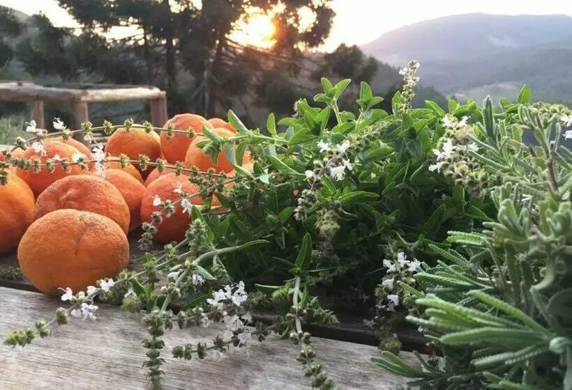 Majatalo Chalé Da Horseland Bj